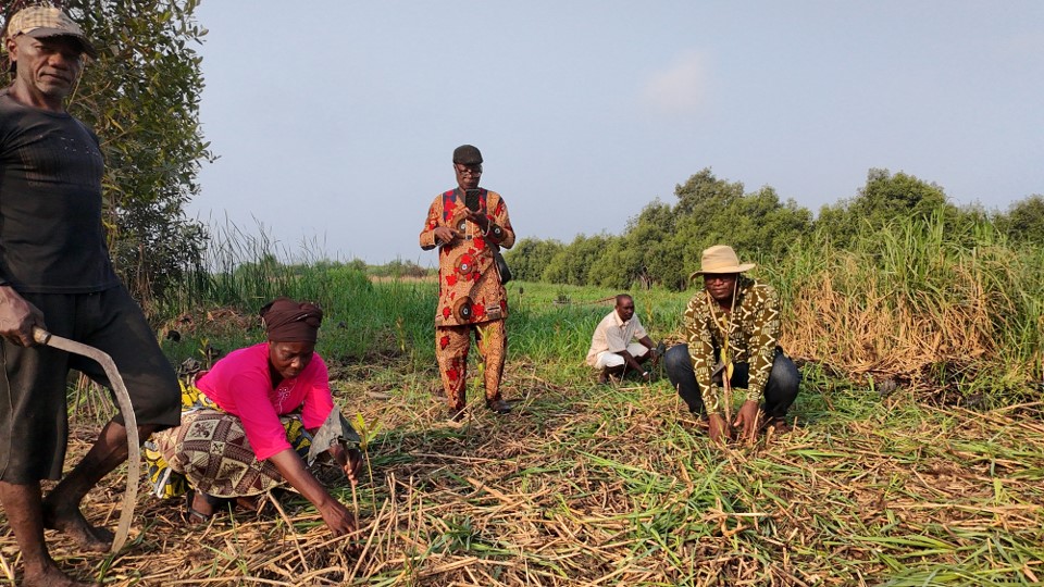 MISE EN PLACE DE PLATEFORMES LOCALES DE SENSIBILISATION DANS LES SITES CIBLES POUR SOUTENIR LES CHANGEMENTS DE COMPORTEMENT AU SEIN DES GROUPES COMMUNAUTAIRES DANS LES PAYSAGES DE MANGROVE